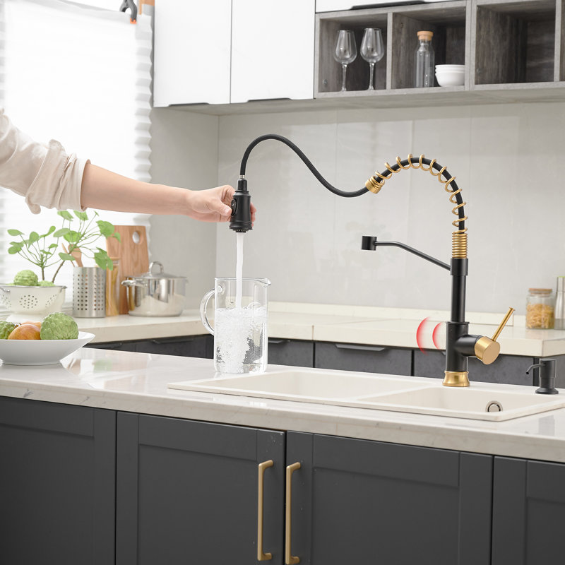 Flg Pull Down Touchless Kitchen Faucet Reviews Wayfair